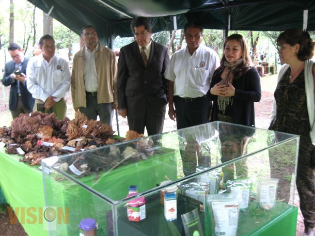 Inauguran la XXVIII exposición de hongos de los alrededores de Morelia