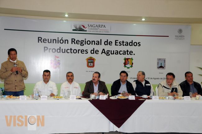 Michoacán consolidado como el gran productor de aguacate en el mundo y va por más mercados: SAGARPA