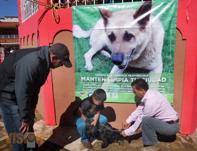 Ayuntamiento promueve el buen trato y servicios de atención para canes y felinos.
