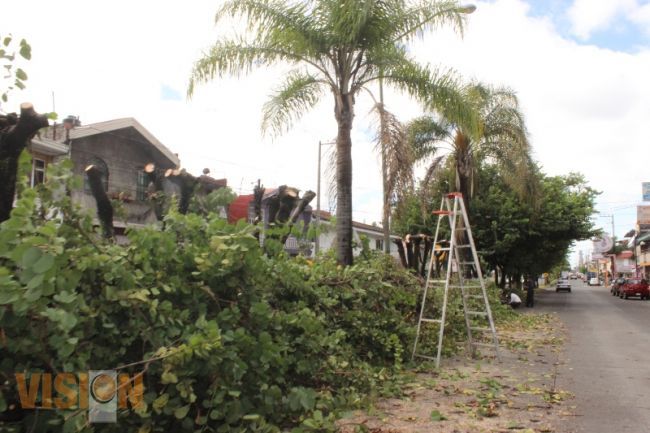 Remozan áreas verdes de avenida lázaro cárdenas
