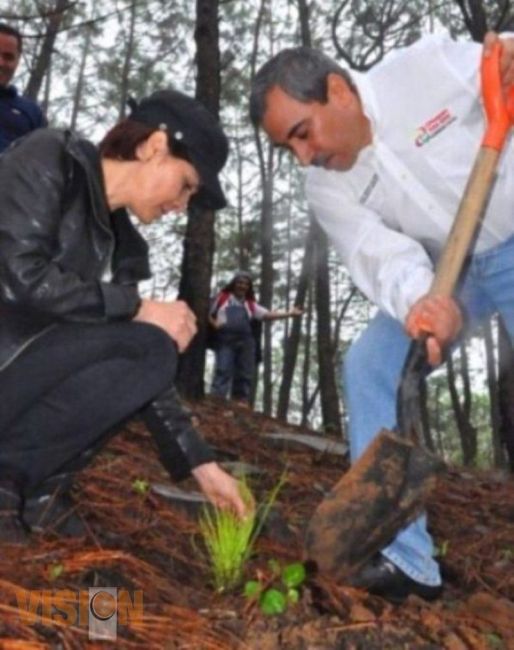 Proyectan superar meta de Reforestación 2013 en Uruapan