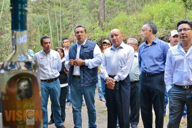 Morelia cuenta con la primera vinata procesadora de mezcal en Michoacán.