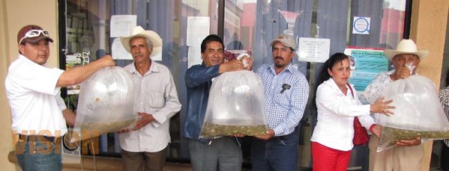 Entregan 80 mil peces de tilapia gris a piscicultores de la zona sur del municipio