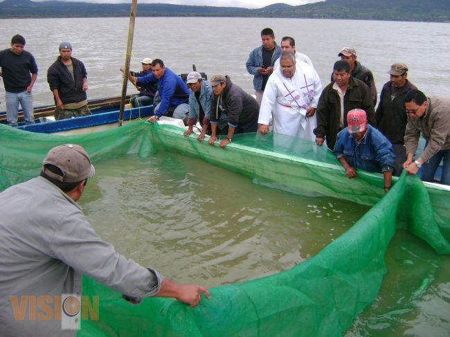 Nueva siembra de crías de pez blanco en el lago de Pátzcuaro.