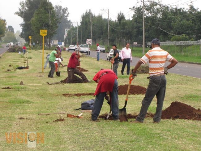 Plantan arboles de Galeana en el Libramiento Oriente.