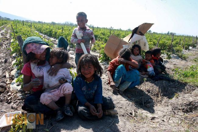 Reforzarán lectoescritura y matemáticas en niños de jornaleros migrantes