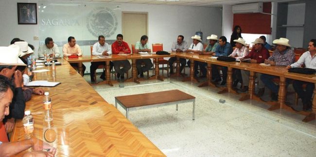 Productores forman bloque y se unen para mejorar comercialización del grano