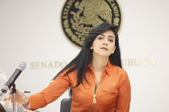 Trabajo político se ha vuelto actividad de alto riesgo: Iris Vianey Mendoza