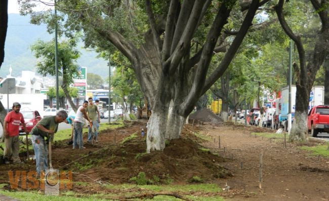 Trotapista y gimnasio al aire libre se construyen en el Paseo Lázaro Cárdenas
