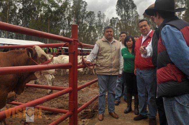 Con especial énfasis, apoyo al Morelia Rural.