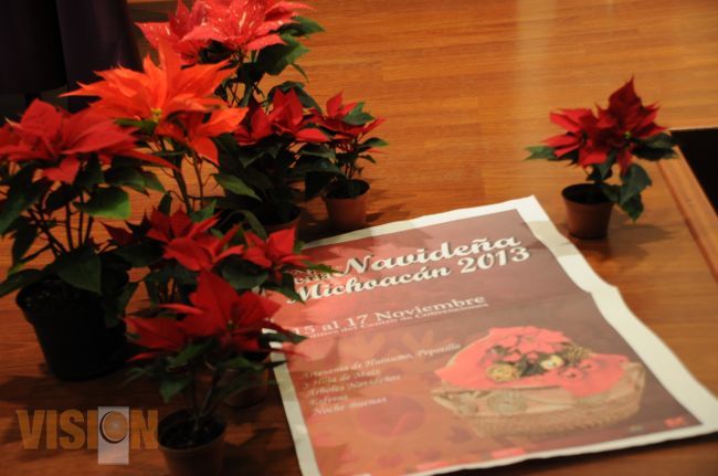 Llega a Morelia la Feria de la Nochebuena y Flores Ornamentales.