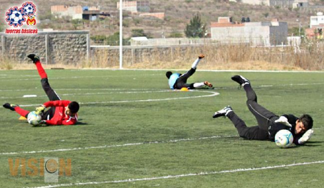 Monarcas te está buscando.