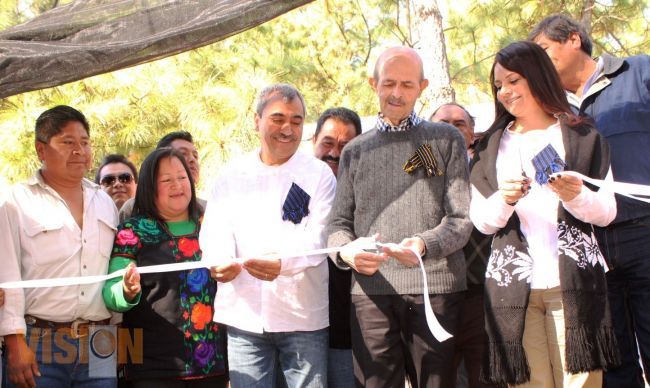 Ponen en marcha vivero comunal para reforestar áreas de conservación comunitaria