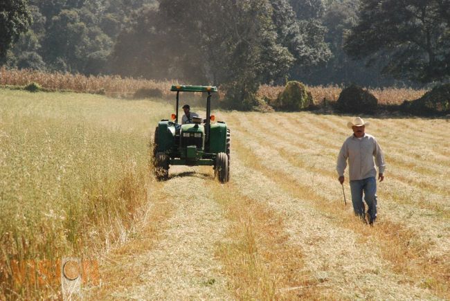 Michoacán a la vanguardia en agricultura de conservación
