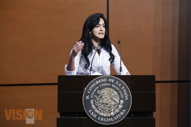 Necesaria Comisión Especial para la conmemoración del Bicentenario de la Constitución de Apatzingán
