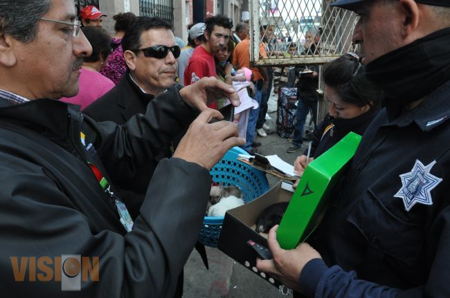 Rescatan a 21 cachorros en operativo contra la venta ilegal de perros.
