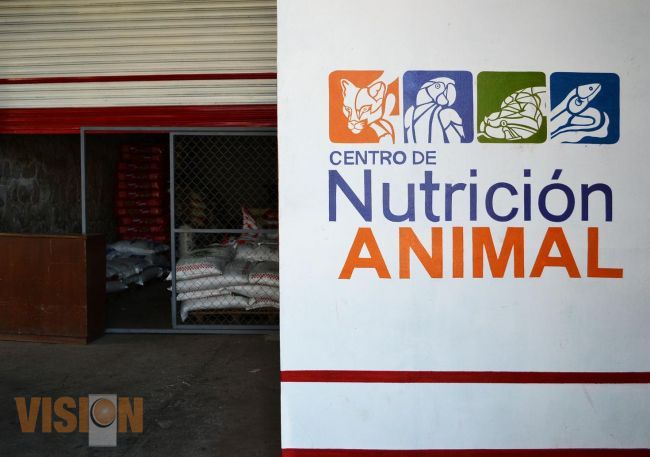Centro de Nutrición Animal, fundamental para el Zoológico de Morelia