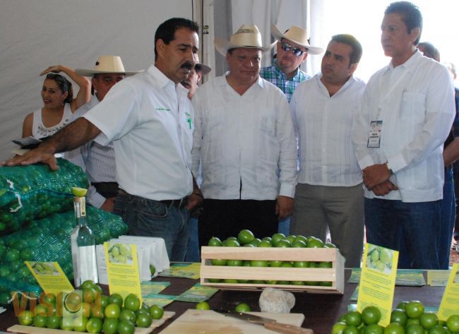 El Campo Michoacano continúa dando frutos y se mantiene como líder nacional en producción.