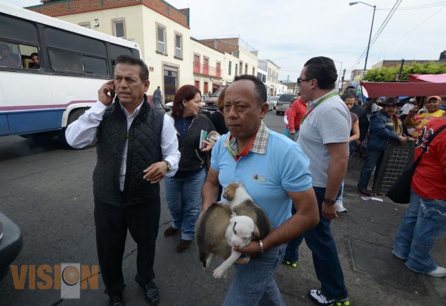 Autoridades Municipales aplican reglamento que prohíbe la venta  de mascotas.