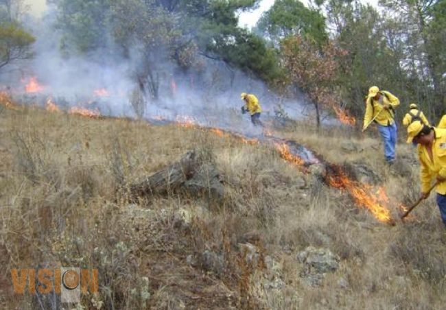 En marcha, acciones preventivas para temporada de incendios forestales 2014 en Michoacán: COFOM.