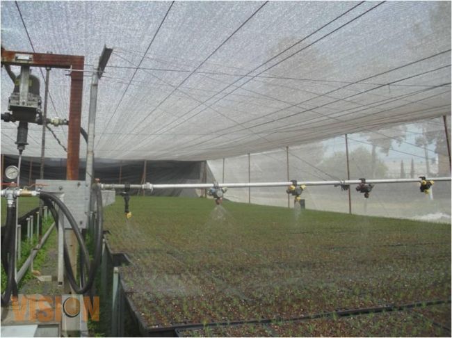 Abiertas las ventanillas para registrarse en el pronafor 2014: COFOM.