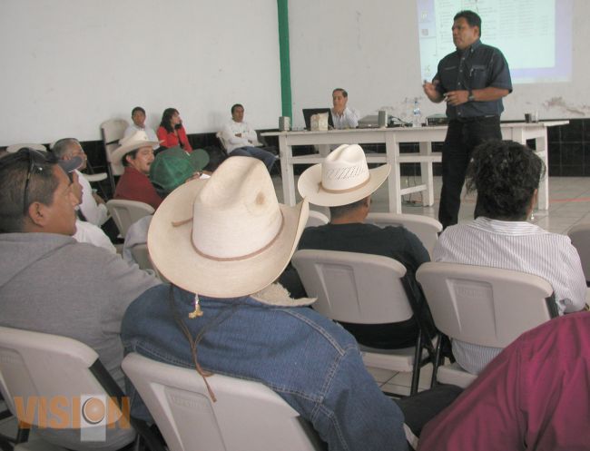 Brindar un impulso real al  campo michoacano: HCP