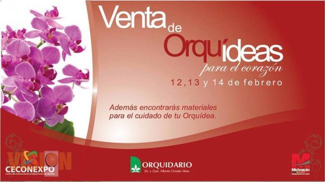 Orquidario de Morelia se prepara para este 14 de febrero