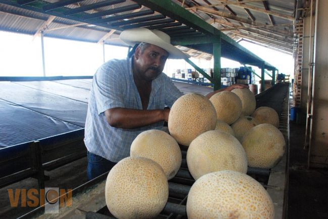 Campo michoacano recibió en 2013 más de 930 MDP a través de diversos programas