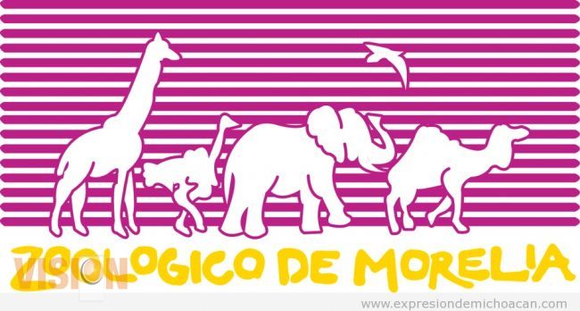 Nombran a nuevo director del Zoológico 
