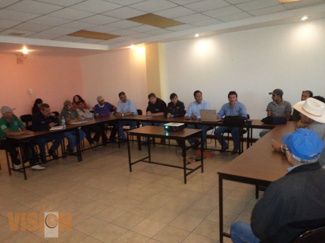 Ayuntamiento respalda  a productores de aguacate de Morelia.