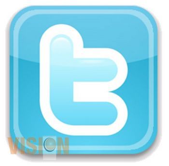 Algunos términos de Twitter