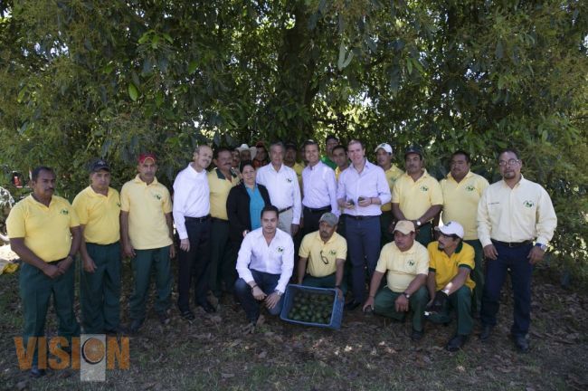 La producción de aguacate,  orgullo del país: Peña Nieto