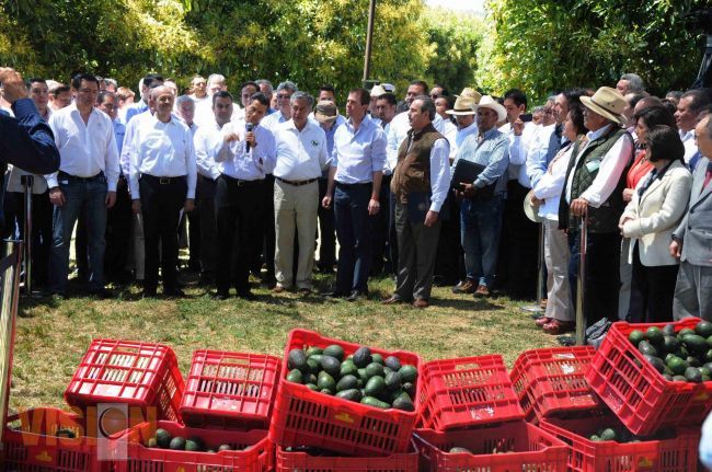 En Michoacán se trabaja en coordinación con Fausto Vallejo: Peña Nieto