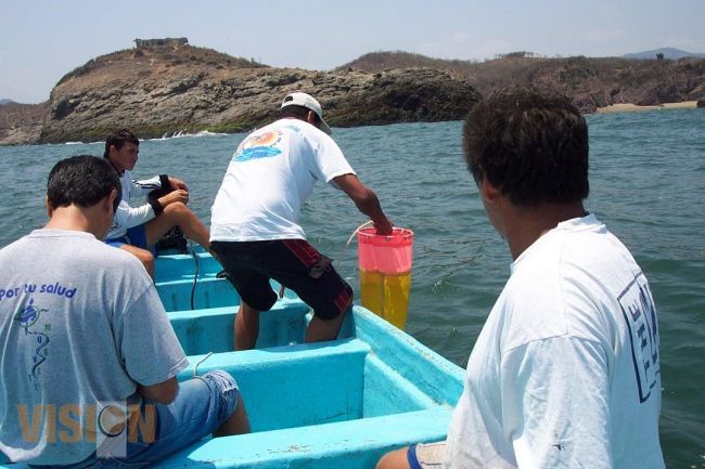 Vigila SSM que no se presente marea roja en las playas de la entidad.