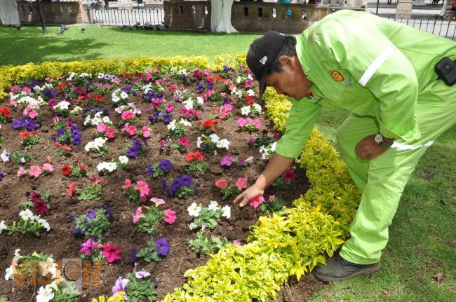 Embellecen parques y jardines de Morelia con 8 mil 900 plantas.