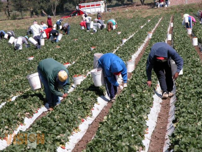 Centro de Negocios de Michoacán, fomenta sustentabilidad en sector rural