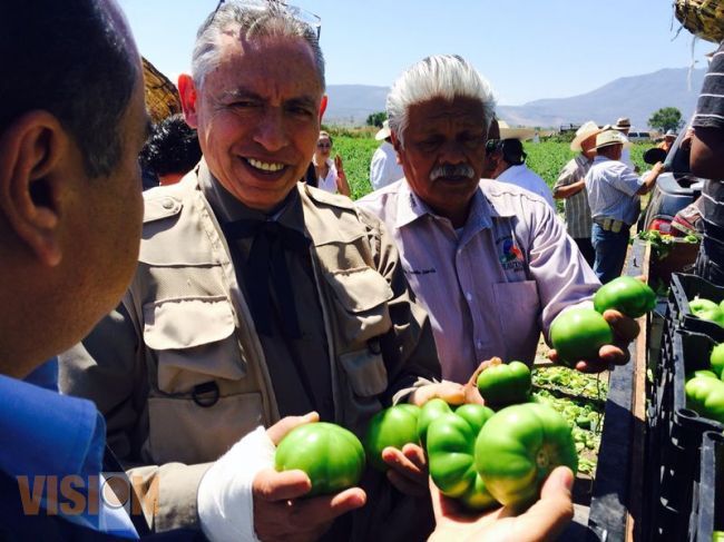 Renuevan equipo de bombeo para eficientizar el riego agrícola