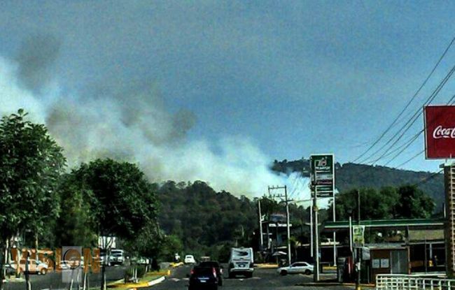 Daña incendio 70 hectáreas de bosque durante dos días