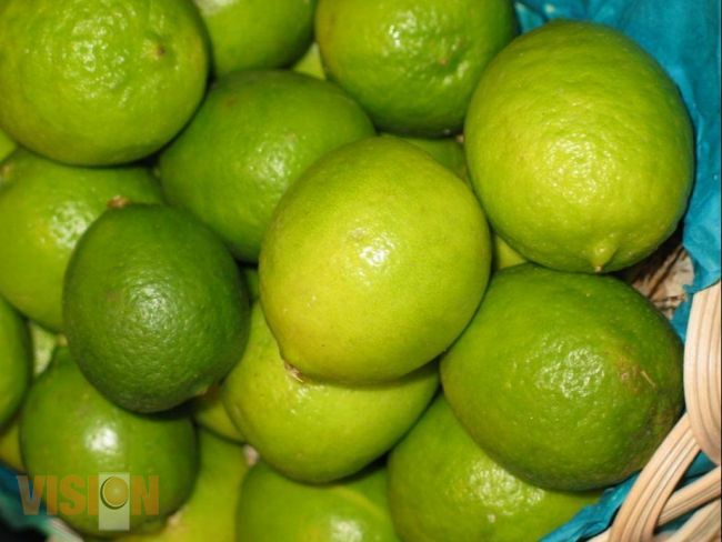 Productores michoacanos estabilizan precio del limón.