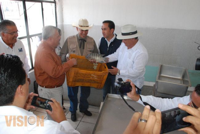 Apoyarán a acuicultores de bagre para hacer a esta actividad autosuficiente.