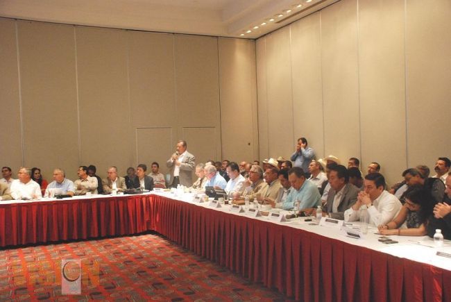 Busca michoacán consolidar conversión de maíz blanco a amarillo.