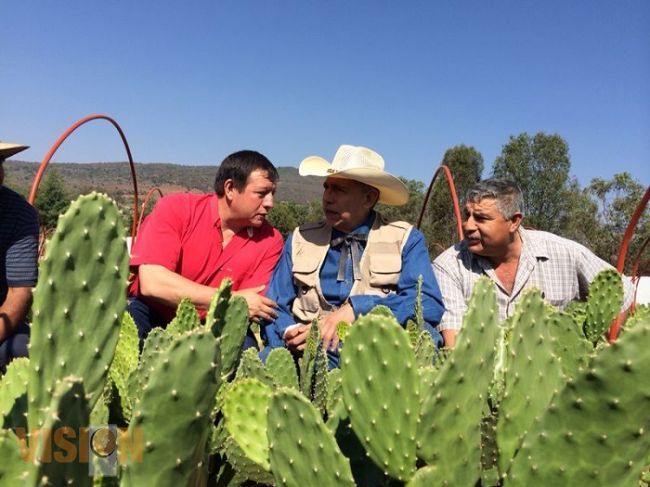 Llevar a Michoacán a un progreso agrícola real: Sagarpa