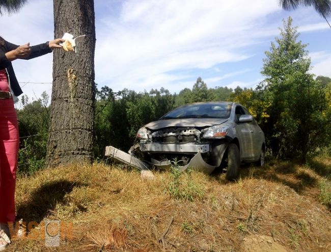 Jauría de perros ocasiona  accidente automovilístico