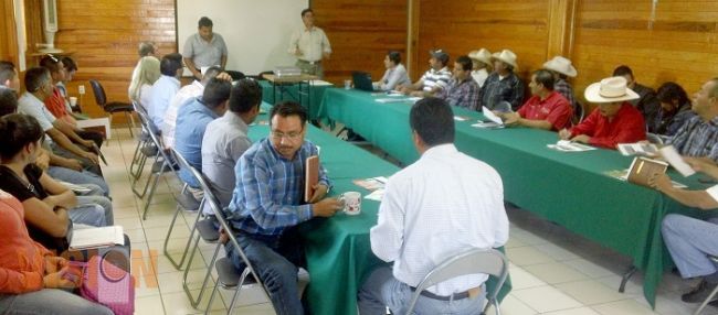 Reducir dioxinas que dañan la salud y medio ambiente: Cuiris