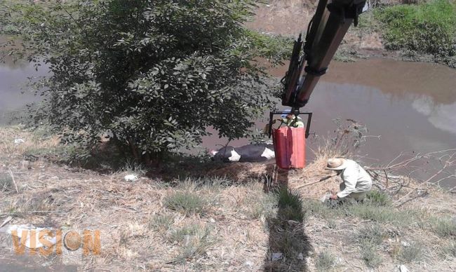 Ayuntamiento de Morelia continúa con acciones de prevención de inundación