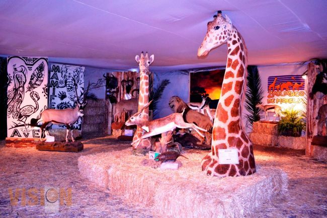 El Zoológico de Morelia participa en Expo Feria 2014 con ejemplares disecados.