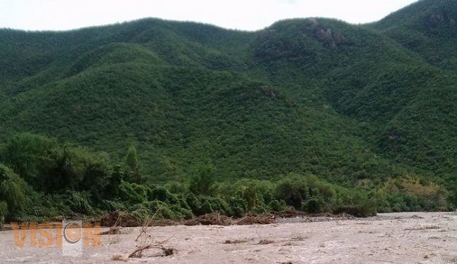 Realizan Foro Regional de análisis de Reforma Integral Forestal