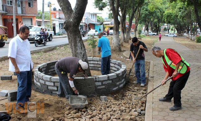 Embellecen camellón de la colonia La Tamacua