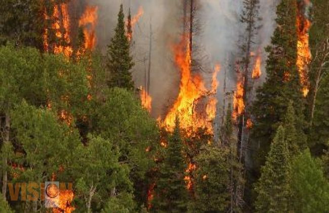 Michoacán a la baja en incendios forestales.
