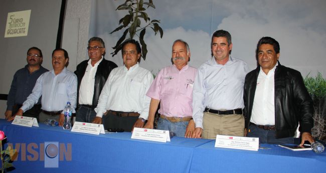 Destacan importancia del aguacate en la micro y macro economía